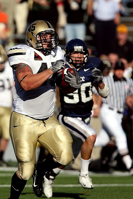 仅是保留个 仅是保留个